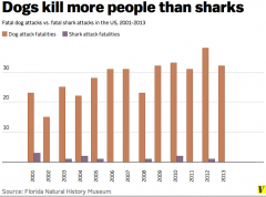 Did you know Dogs kill more people that Sharks.