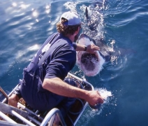 André Hartman pushes off a Great White Shark