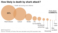 What are your chances of you being taken by a Great White Shark?